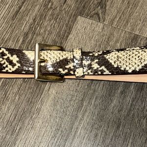 The Limited Snakeskin belt. size medium.  Excellent Condition